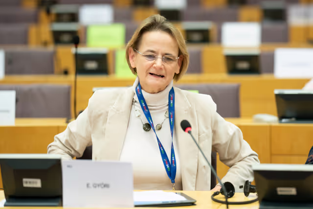 Foto 7: CONT ECON - ECA Special Report 9/2025: Systems for ensuring compliance of RRF spending with public procurement and state aid rules