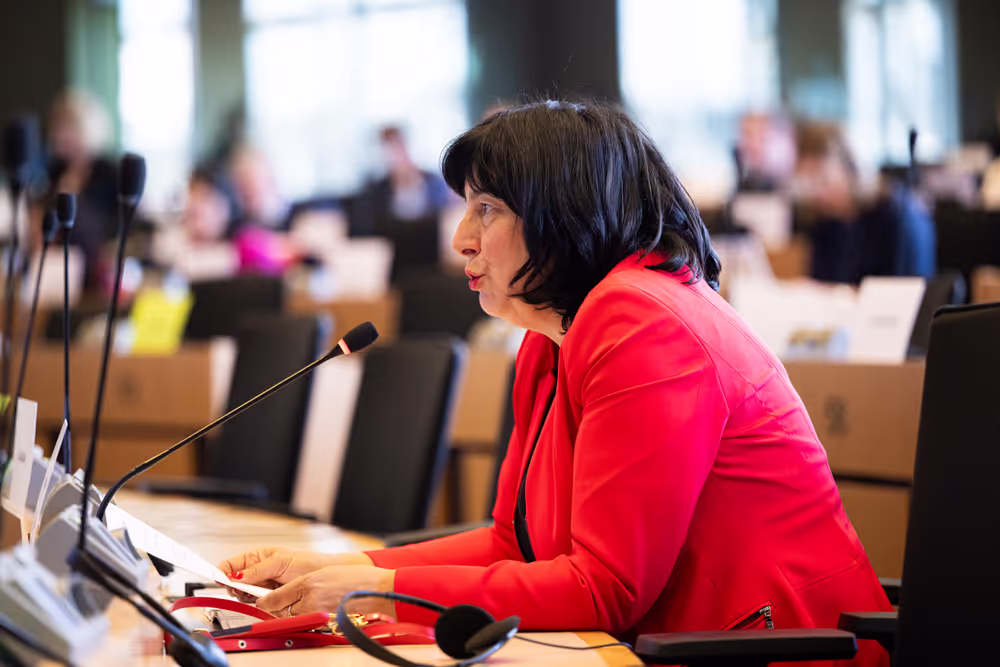 IMCO - Public Hearing - Protection of minors online