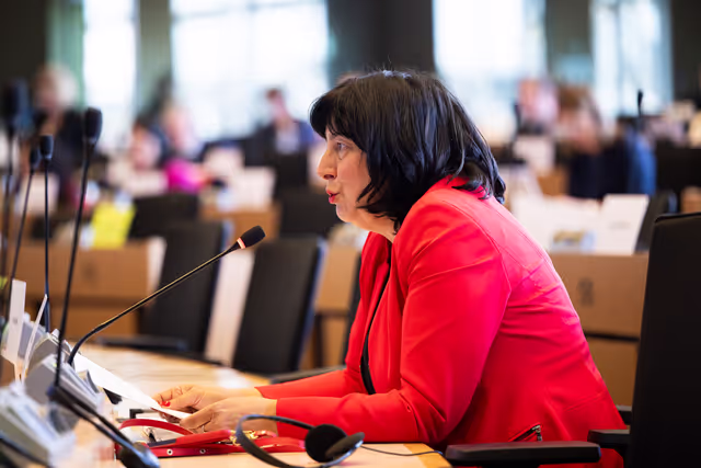 Fotografija 17: IMCO - Public Hearing - Protection of minors online
