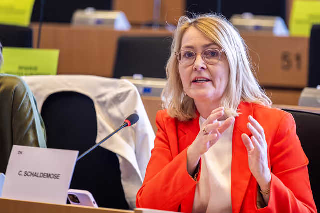 Fotografija 6: IMCO - Public Hearing - Protection of minors online