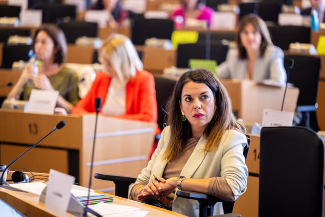 Fotografija 1: IMCO - Public Hearing - Protection of minors online
