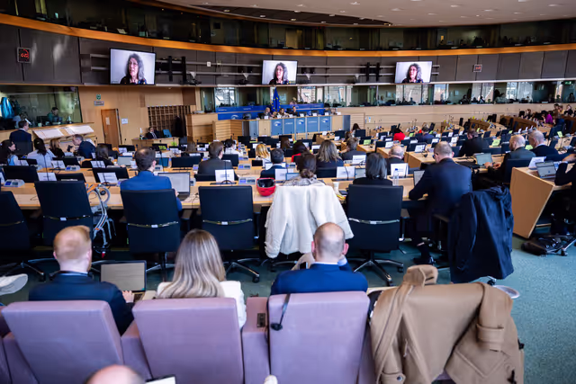 Fotografija 12: IMCO - Public Hearing - Protection of minors online