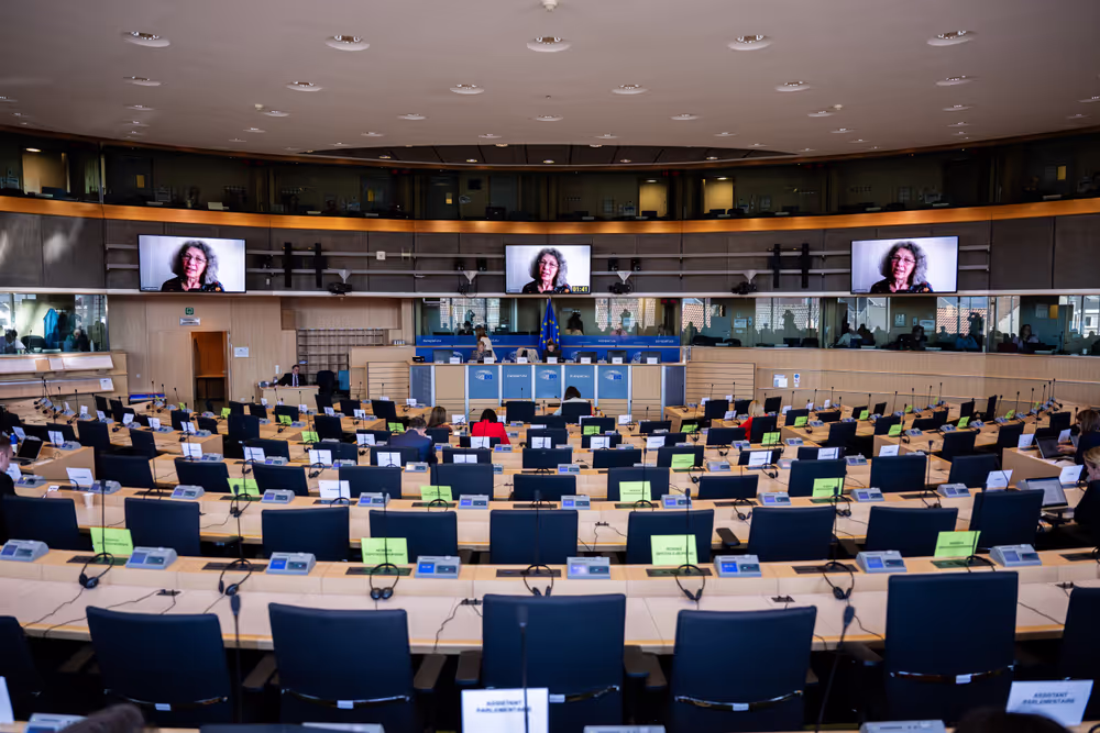 IMCO - Public Hearing - Protection of minors online