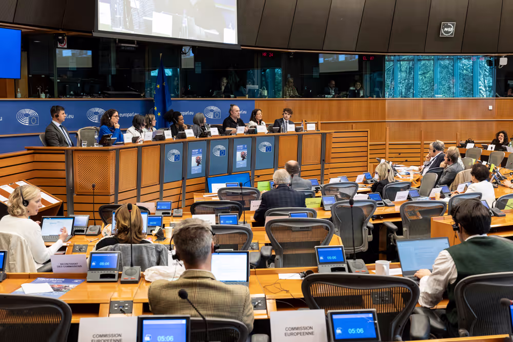 CULT - Public hearing on ' Enhancing media literacy for the digital age'