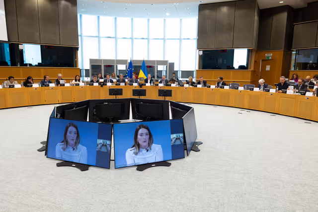 Снимка 39: Extraordinary meeting of the Conference of Committee Chairs - Second Inter-Committee Meeting of the European Parliament and the Verkhovna Rada of Ukraine