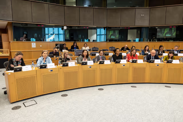 Снимка 30: Extraordinary meeting of the Conference of Committee Chairs - Second Inter-Committee Meeting of the European Parliament and the Verkhovna Rada of Ukraine