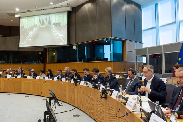 Снимка 12: Extraordinary meeting of the Conference of Committee Chairs - Second Inter-Committee Meeting of the European Parliament and the Verkhovna Rada of Ukraine