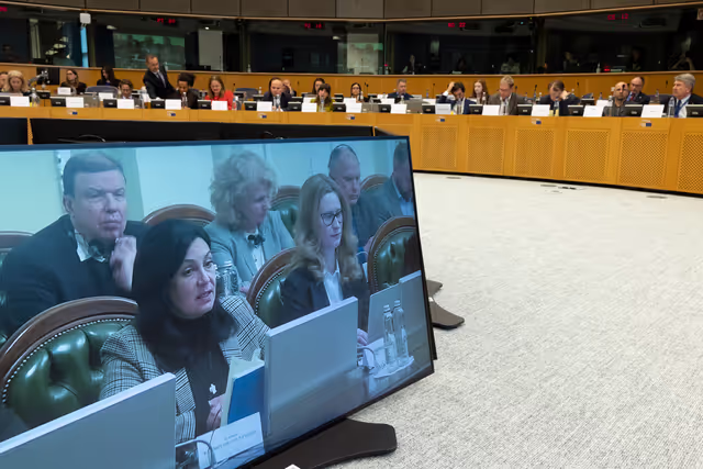 Снимка 10: Extraordinary meeting of the Conference of Committee Chairs - Second Inter-Committee Meeting of the European Parliament and the Verkhovna Rada of Ukraine