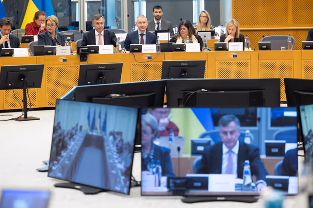 Снимка 6: Extraordinary meeting of the Conference of Committee Chairs - Second Inter-Committee Meeting of the European Parliament and the Verkhovna Rada of Ukraine