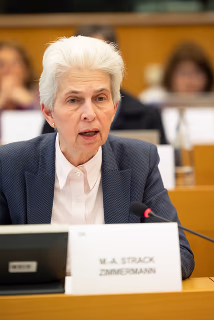 Снимка 4: Extraordinary meeting of the Conference of Committee Chairs - Second Inter-Committee Meeting of the European Parliament and the Verkhovna Rada of Ukraine