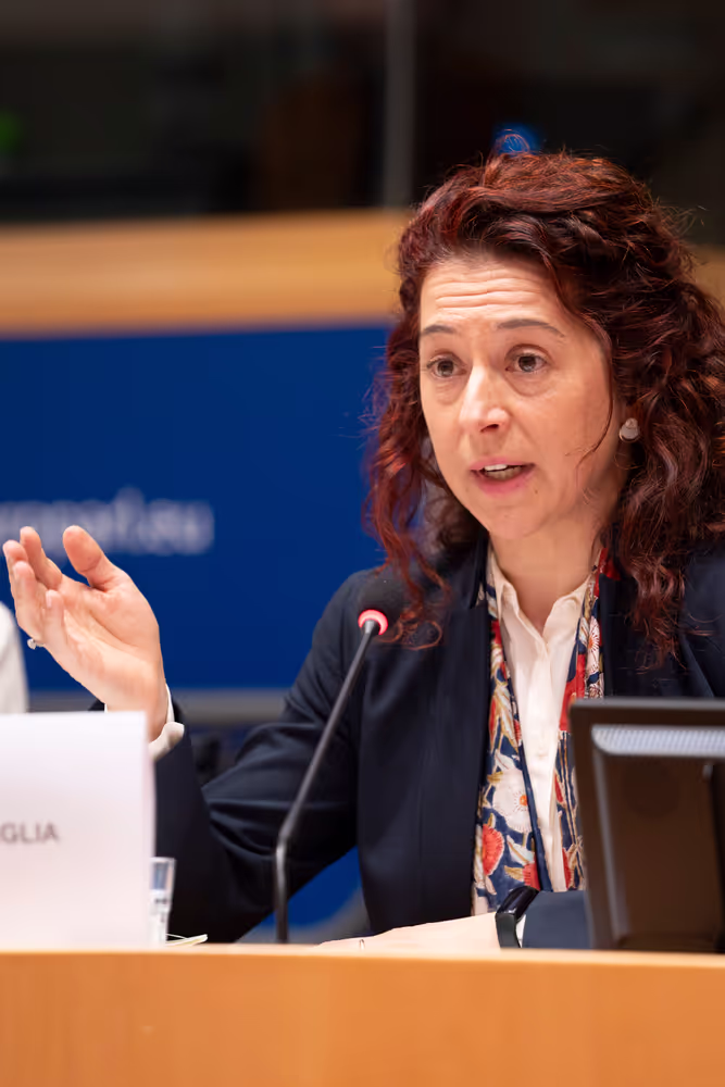 AFET INTA - The implementation of the EU-UK Trade and Cooperation Agreement