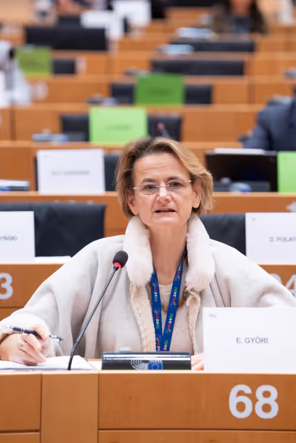 Valokuva 28: AFET INTA - The implementation of the EU-UK Trade and Cooperation Agreement