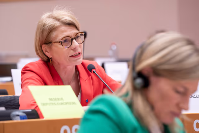 Valokuva 3: AFET INTA - The implementation of the EU-UK Trade and Cooperation Agreement