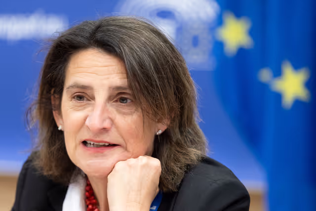 Fotografija 21: ECON - Structured Dialogue with Teresa Ribera, Executive Vice-President of the European Commission for a Clean, Just and Competitive Transition