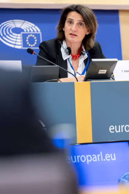 Fotografija 11: ECON - Structured Dialogue with Teresa Ribera, Executive Vice-President of the European Commission for a Clean, Just and Competitive Transition