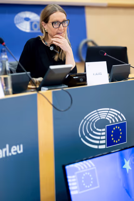 Billede 18: ECON - Public Hearing on The impact of markets in crypto-assets on financial stability