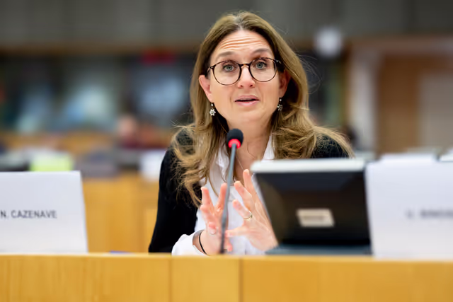 Billede 16: ECON - Public Hearing on The impact of markets in crypto-assets on financial stability