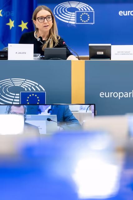 Billede 22: ECON - Public Hearing on The impact of markets in crypto-assets on financial stability