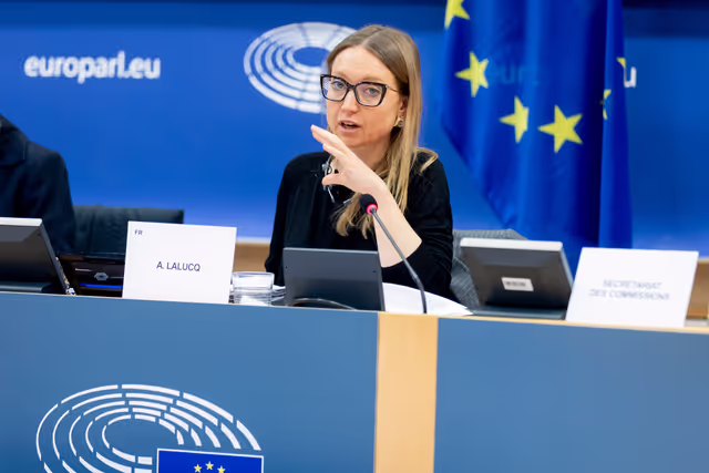 Billede 20: ECON - Public Hearing on The impact of markets in crypto-assets on financial stability