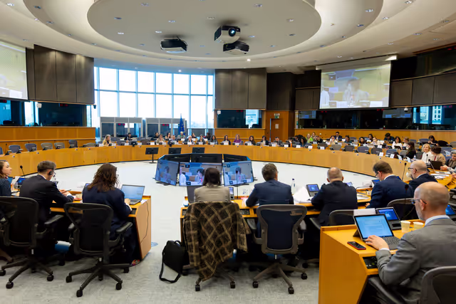 Valokuva 2: LIBE FEMM - 3rd Trilogue on Directive 2011/29/EU establishing minimum standards on the rights, support and protection of victims of crime