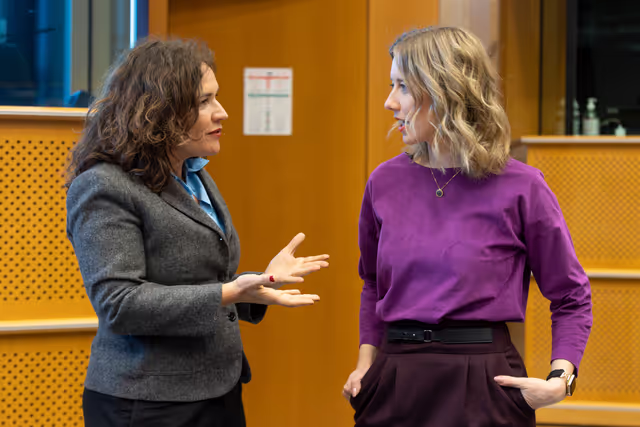 Valokuva 23: LIBE FEMM - 3rd Trilogue on Directive 2011/29/EU establishing minimum standards on the rights, support and protection of victims of crime