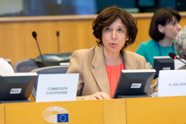 Valokuva 4: LIBE FEMM - 3rd Trilogue on Directive 2011/29/EU establishing minimum standards on the rights, support and protection of victims of crime