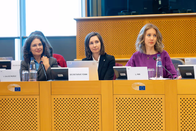 Valokuva 3: LIBE FEMM - 3rd Trilogue on Directive 2011/29/EU establishing minimum standards on the rights, support and protection of victims of crime