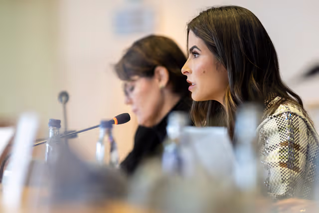 Suriet 10: FEMM & D-BR - Exchange of Views in association with EP Delegation for Relations with Brazil on Women in Politics and the Fight Against Violence