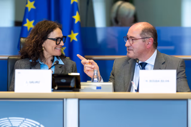 Suriet 23: FEMM & D-BR - Exchange of Views in association with EP Delegation for Relations with Brazil on Women in Politics and the Fight Against Violence