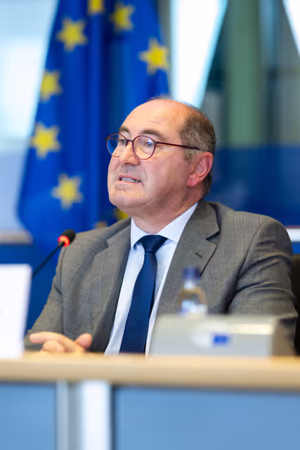 Suriet 18: FEMM & D-BR - Exchange of Views in association with EP Delegation for Relations with Brazil on Women in Politics and the Fight Against Violence