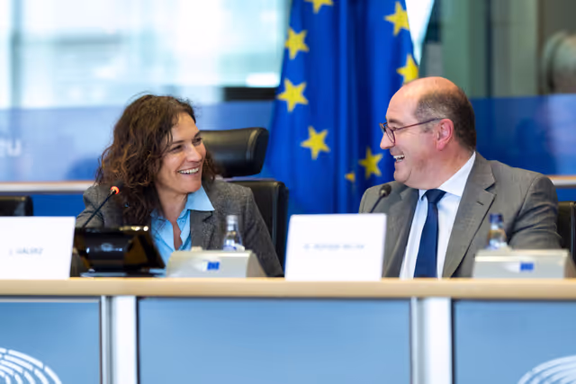 Suriet 16: FEMM & D-BR - Exchange of Views in association with EP Delegation for Relations with Brazil on Women in Politics and the Fight Against Violence