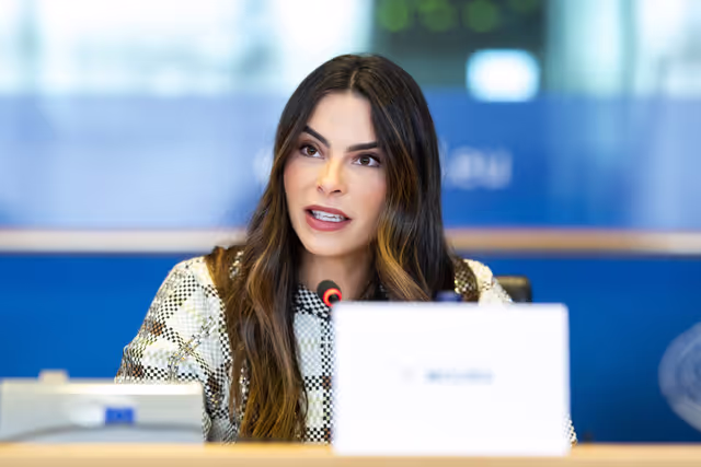 Suriet 12: FEMM & D-BR - Exchange of Views in association with EP Delegation for Relations with Brazil on Women in Politics and the Fight Against Violence