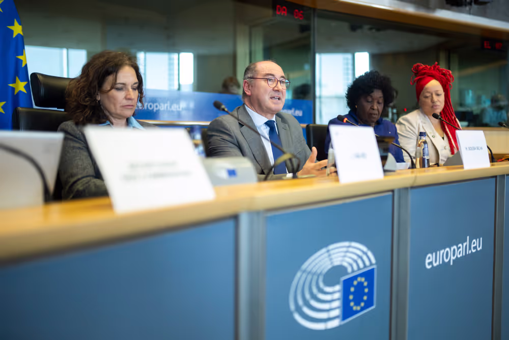 FEMM & D-BR - Exchange of Views in association with EP Delegation for Relations with Brazil on Women in Politics and the Fight Against Violence