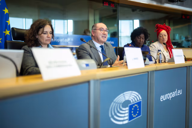 Suriet 17: FEMM & D-BR - Exchange of Views in association with EP Delegation for Relations with Brazil on Women in Politics and the Fight Against Violence