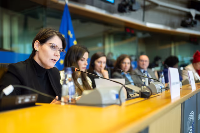 Suriet 5: FEMM & D-BR - Exchange of Views in association with EP Delegation for Relations with Brazil on Women in Politics and the Fight Against Violence