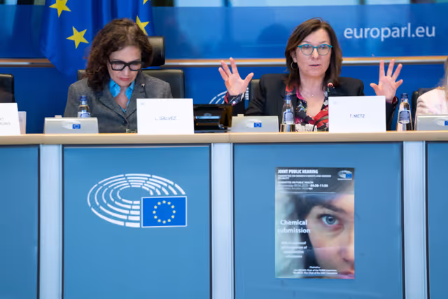 Valokuva 4: FEMM SANT - Chemical submission