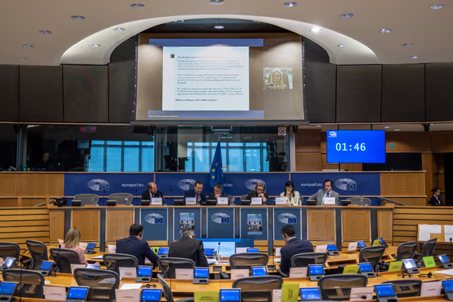 REGI - Public hearing: Depopulation Challenges in European Regions