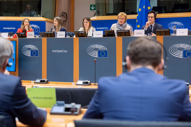 Fotografia 5: BUDG Extraordinary Committee - Voting session