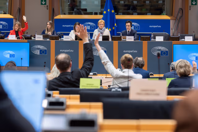 Fotografia 3: BUDG Extraordinary Committee - Voting session