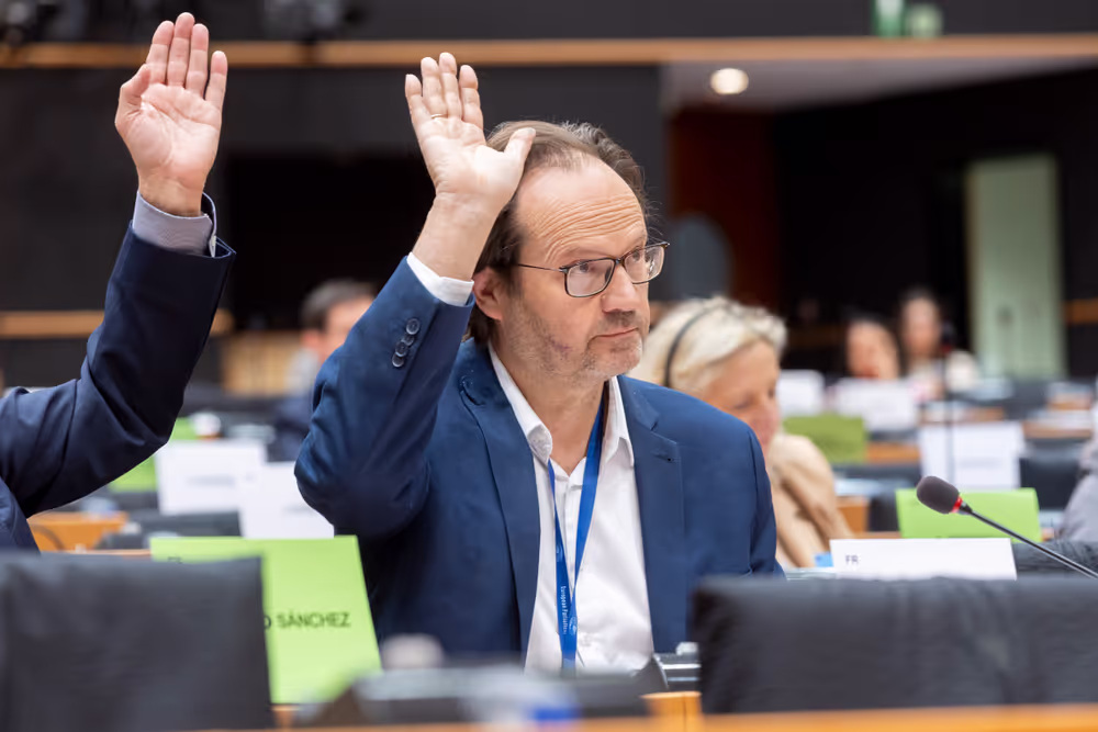 BUDG Extraordinary Committee - Voting session