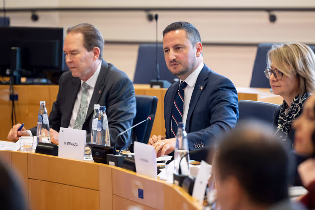 Fotografija 31: Visit of US Congressional Delegation - House of Democracy Partnership