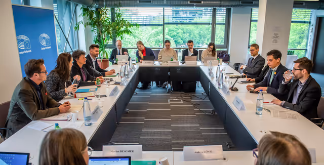 Photo 5 : LIBE delegation Rule of Law mission in Budapest, Hungary