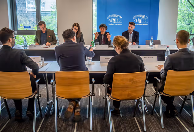 LIBE delegation Rule of Law mission in Budapest, Hungary