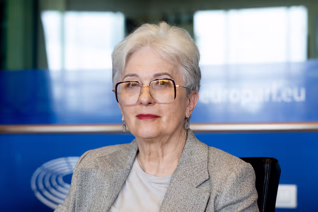 Foto 4: EUDS AFET SEDE - Public hearing on Russia’s hybrid threats and attacks in Europe, including best practices to counter them