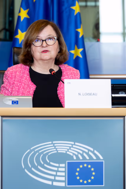 Foto 22: EUDS AFET SEDE - Public hearing on Russia’s hybrid threats and attacks in Europe, including best practices to counter them