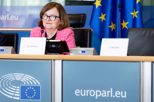 Foto 18: EUDS AFET SEDE - Public hearing on Russia’s hybrid threats and attacks in Europe, including best practices to counter them