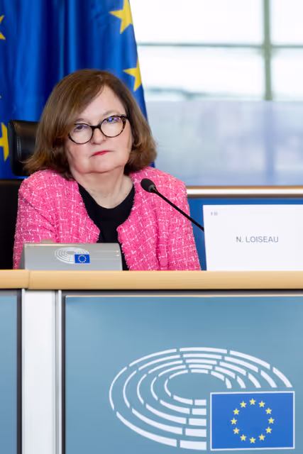 Foto 14: EUDS AFET SEDE - Public hearing on Russia’s hybrid threats and attacks in Europe, including best practices to counter them