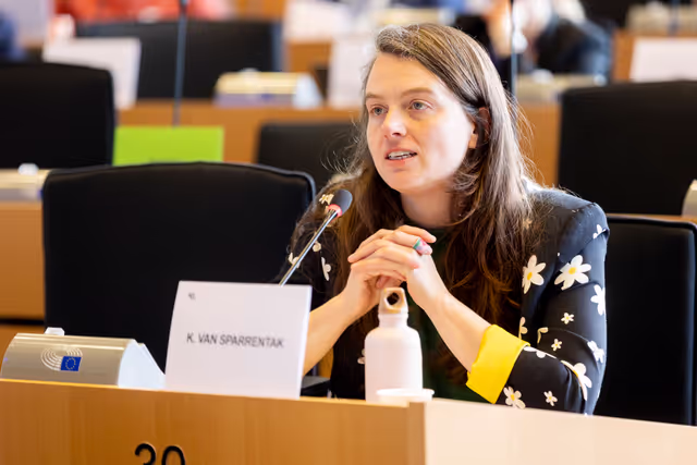 Foto 2: EUDS AFET SEDE - Public hearing on Russia’s hybrid threats and attacks in Europe, including best practices to counter them