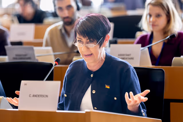 Foto 1: EUDS AFET SEDE - Public hearing on Russia’s hybrid threats and attacks in Europe, including best practices to counter them