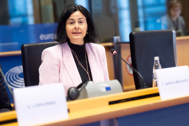 Photo 23: ITRE Committee meeting - Energy Community Parliamentary Plenum